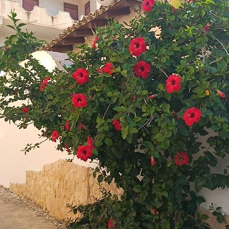 Bed and Breakfast Al Faro Realmonte Exterior foto